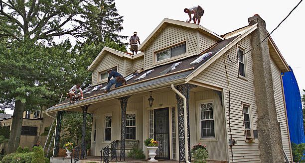Best Roof Maintenance Services  in Benjamin, UT