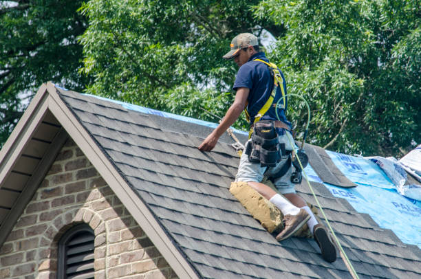 Best Roof Leak Repair  in Benjamin, UT